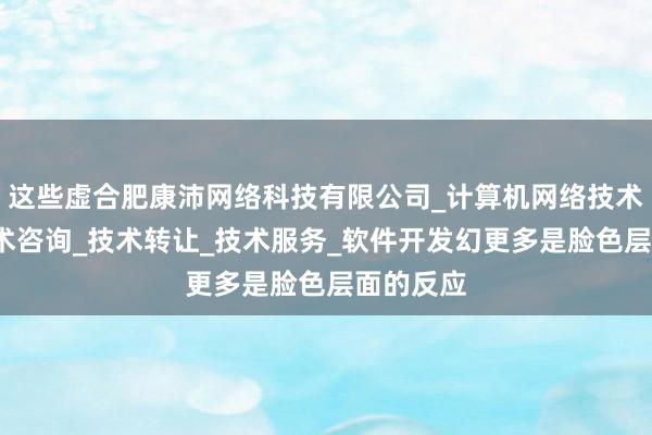 这些虚合肥康沛网络科技有限公司_计算机网络技术开发_技术咨询_技术转让_技术服务_软件开发幻更多是脸色层面的反应